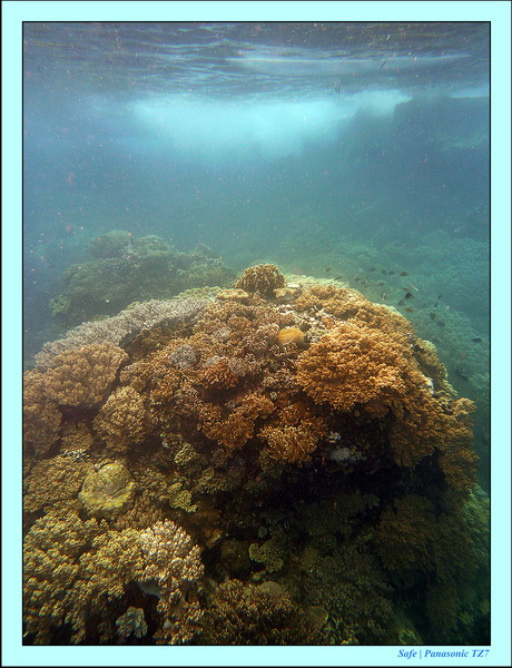 2012 - 07 - Apoh Island 25